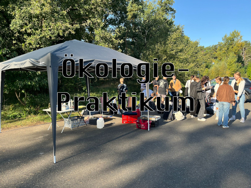 Mehr über den Artikel erfahren Ökologie-Praktikum 2024